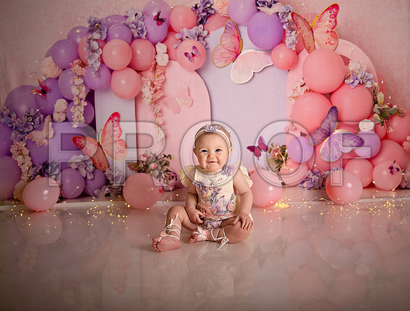 Kansas City Cake Smash Photographer | Butterfly Theme Portraits | Heather Sears Photography