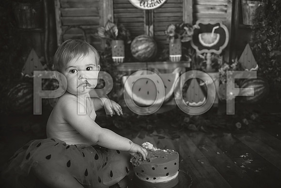 Kansas City Watermelon Cake Smash Photographer | First Birthday Portraits