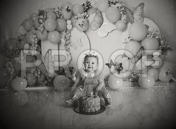 Kansas City Cake Smash Photographer | Butterfly Theme Portraits | Heather Sears Photography