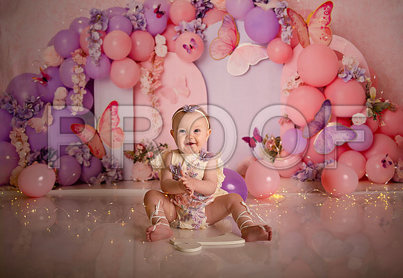 Kansas City Cake Smash Photographer | Butterfly Theme Portraits | Heather Sears Photography