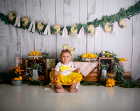 Kansas City Lemon-Themed Cake Smash Photography | Heather Sears Photography