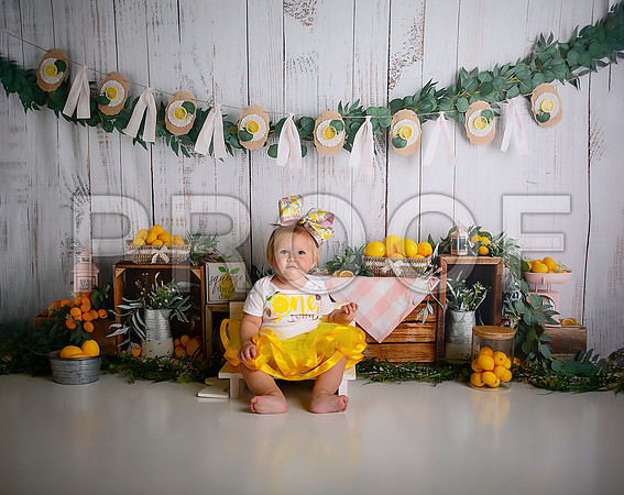 Kansas City Lemon-Themed Cake Smash Photography | Heather Sears Photography