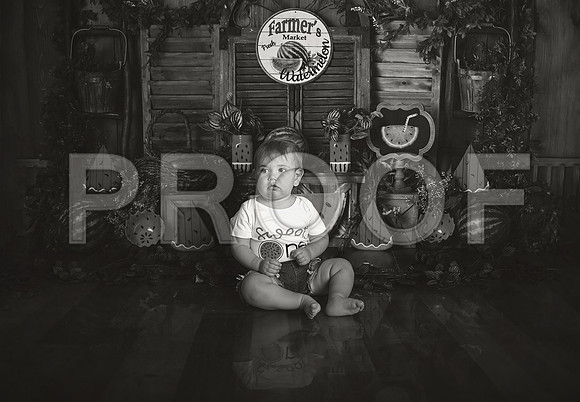 Kansas City Watermelon Cake Smash Photographer | First Birthday Portraits