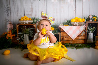 Kansas City Lemon-Themed Cake Smash Photography | Heather Sears Photography