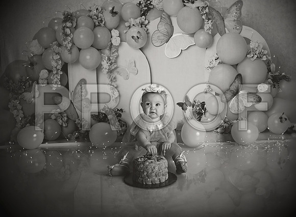 Kansas City Cake Smash Photographer | Butterfly Theme Portraits | Heather Sears Photography