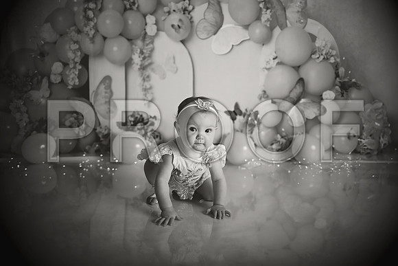 Kansas City Cake Smash Photographer | Butterfly Theme Portraits | Heather Sears Photography
