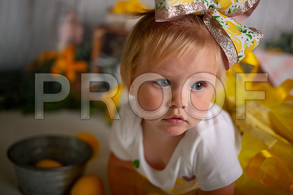 Kansas City Lemon-Themed Cake Smash Photography | Heather Sears Photography