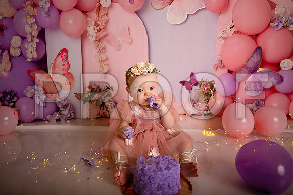 Kansas City Cake Smash Photographer | Butterfly Theme Portraits | Heather Sears Photography