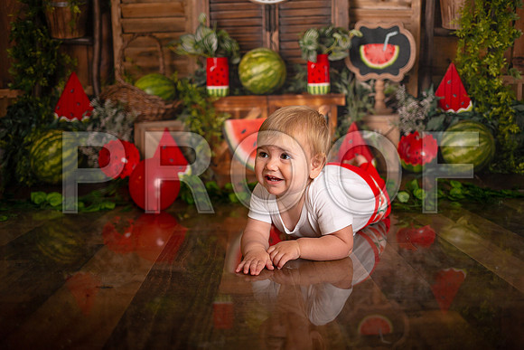 Kansas City Watermelon Cake Smash Photographer | First Birthday Portraits