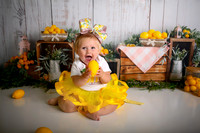 Kansas City Lemon-Themed Cake Smash Photography | Heather Sears Photography