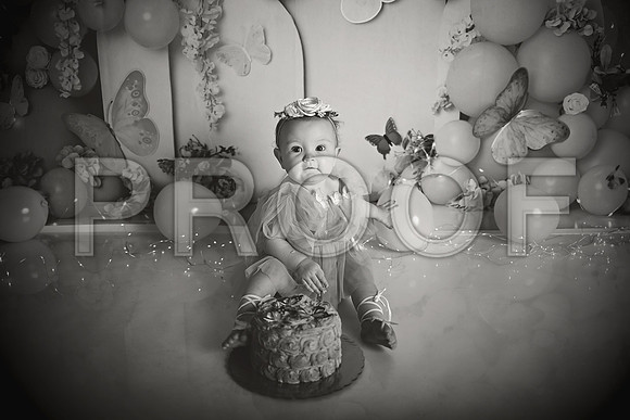 Kansas City Cake Smash Photographer | Butterfly Theme Portraits | Heather Sears Photography