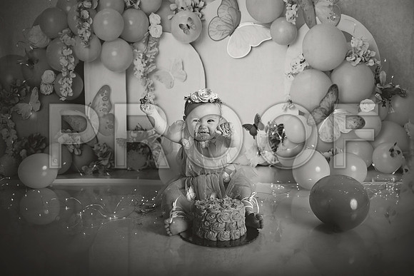 Kansas City Cake Smash Photographer | Butterfly Theme Portraits | Heather Sears Photography