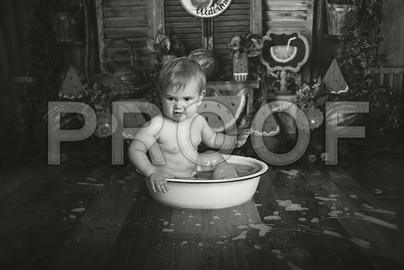 Kansas City Watermelon Cake Smash Photographer | First Birthday Portraits