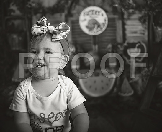 Kansas City Watermelon Cake Smash Photographer | First Birthday Portraits