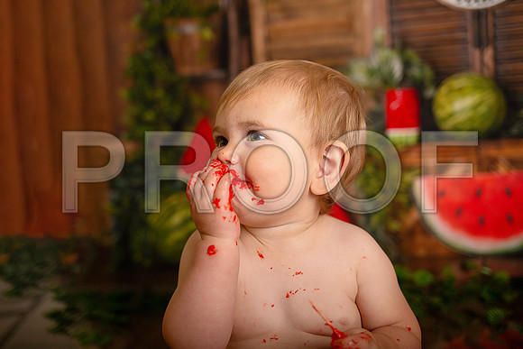 Kansas City Watermelon Cake Smash Photographer | First Birthday Portraits