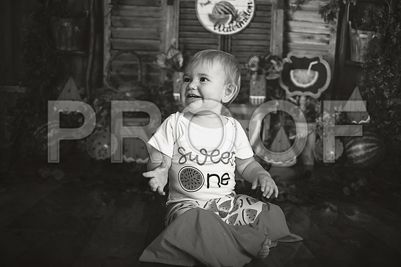 Kansas City Watermelon Cake Smash Photographer | First Birthday Portraits