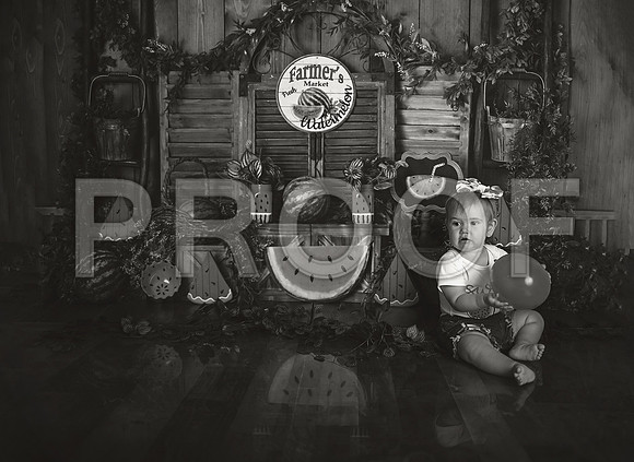 Kansas City Watermelon Cake Smash Photographer | First Birthday Portraits