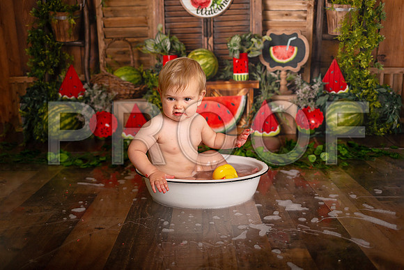 Kansas City Watermelon Cake Smash Photographer | First Birthday Portraits
