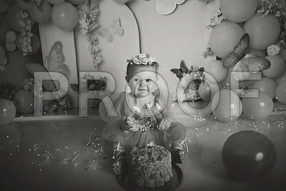 Kansas City Cake Smash Photographer | Butterfly Theme Portraits | Heather Sears Photography