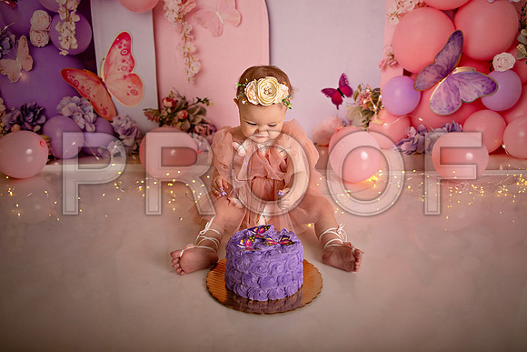 Kansas City Cake Smash Photographer | Butterfly Theme Portraits | Heather Sears Photography