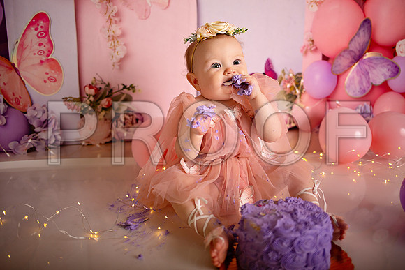 Kansas City Cake Smash Photographer | Butterfly Theme Portraits | Heather Sears Photography