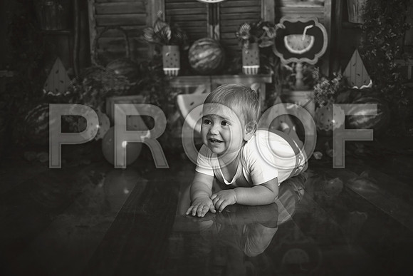 Kansas City Watermelon Cake Smash Photographer | First Birthday Portraits