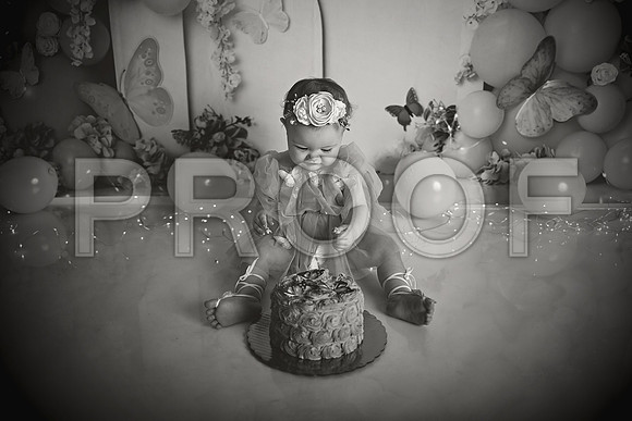 Kansas City Cake Smash Photographer | Butterfly Theme Portraits | Heather Sears Photography