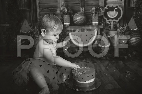 Kansas City Watermelon Cake Smash Photographer | First Birthday Portraits