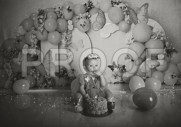 Kansas City Cake Smash Photographer | Butterfly Theme Portraits | Heather Sears Photography