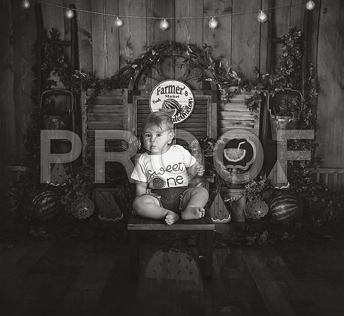 Kansas City Watermelon Cake Smash Photographer | First Birthday Portraits