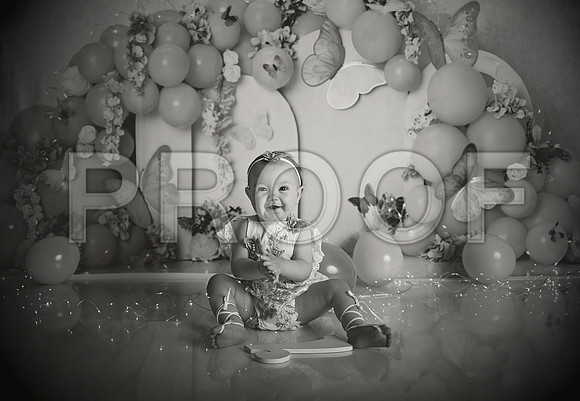 Kansas City Cake Smash Photographer | Butterfly Theme Portraits | Heather Sears Photography