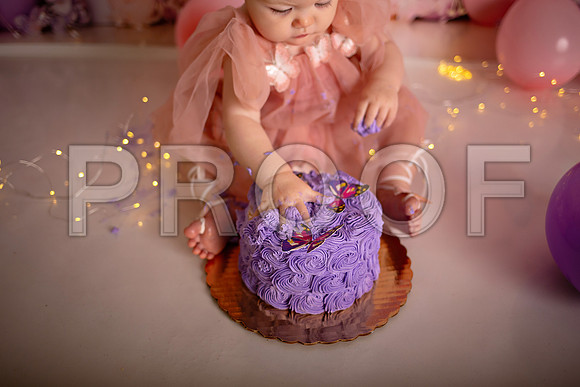 Kansas City Cake Smash Photographer | Butterfly Theme Portraits | Heather Sears Photography