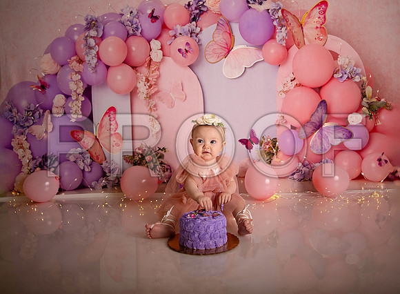 Kansas City Cake Smash Photographer | Butterfly Theme Portraits | Heather Sears Photography