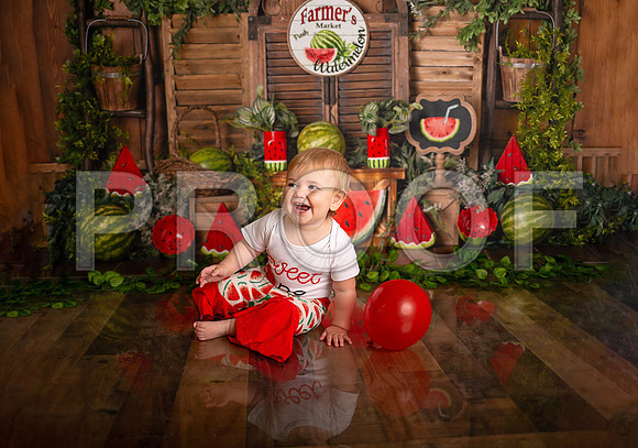 Kansas City Watermelon Cake Smash Photographer | First Birthday Portraits