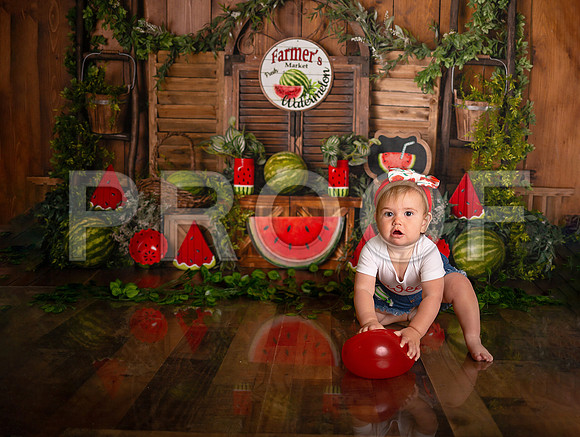 Kansas City Watermelon Cake Smash Photographer | First Birthday Portraits