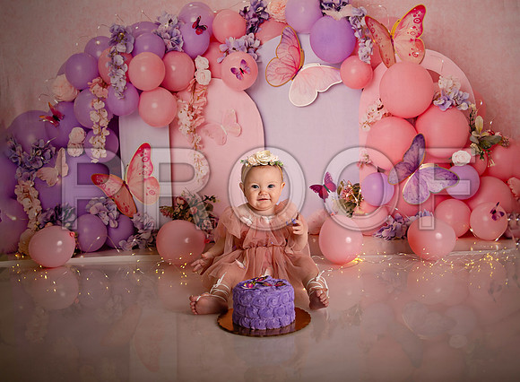 Kansas City Cake Smash Photographer | Butterfly Theme Portraits | Heather Sears Photography