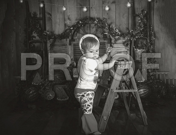 Kansas City Watermelon Cake Smash Photographer | First Birthday Portraits