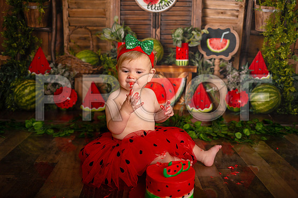 Kansas City Watermelon Cake Smash Photographer | First Birthday Portraits