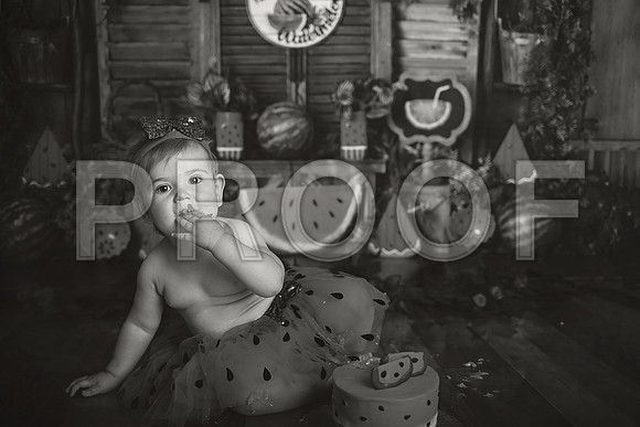 Kansas City Watermelon Cake Smash Photographer | First Birthday Portraits