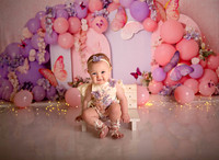 Kansas City Cake Smash Photographer | Butterfly Theme Portraits | Heather Sears Photography