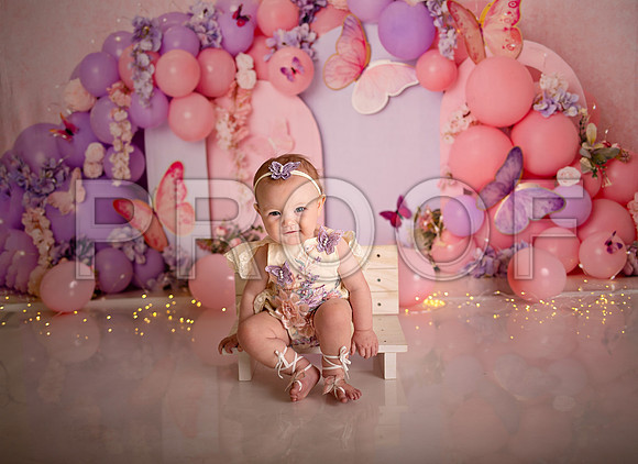 Kansas City Cake Smash Photographer | Butterfly Theme Portraits | Heather Sears Photography