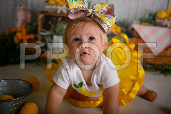 Kansas City Lemon-Themed Cake Smash Photography | Heather Sears Photography