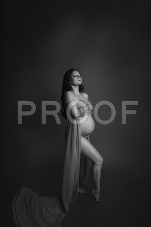 Fine Art Kansas City Maternity Photography | Luxury Pregnancy Portraits