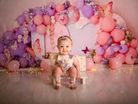 Kansas City Cake Smash Photographer | Butterfly Theme Portraits | Heather Sears Photography
