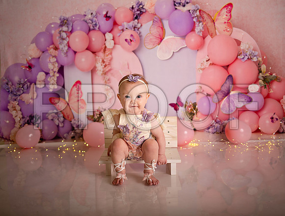 Kansas City Cake Smash Photographer | Butterfly Theme Portraits | Heather Sears Photography