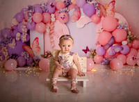 Kansas City Cake Smash Photographer | Butterfly Theme Portraits | Heather Sears Photography