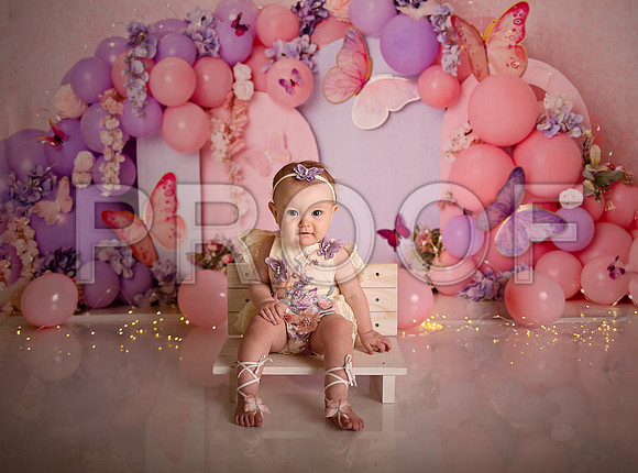 Kansas City Cake Smash Photographer | Butterfly Theme Portraits | Heather Sears Photography