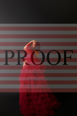 Kansas City Fine Art Studio Maternity Photography | Paola & Osawatomie Studio