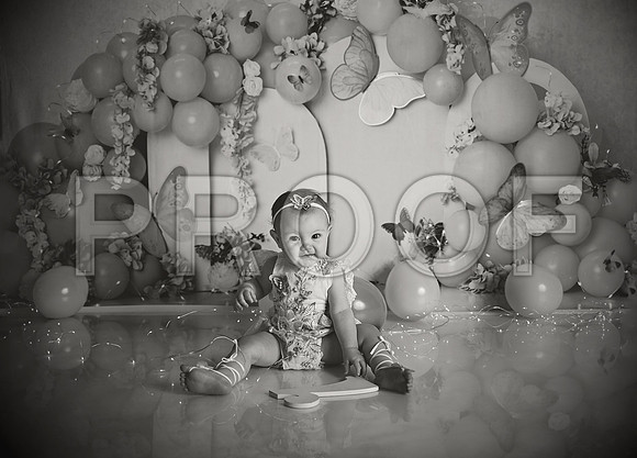 Kansas City Cake Smash Photographer | Butterfly Theme Portraits | Heather Sears Photography