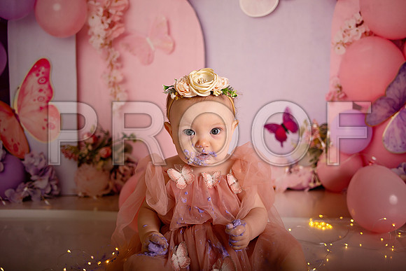 Kansas City Cake Smash Photographer | Butterfly Theme Portraits | Heather Sears Photography